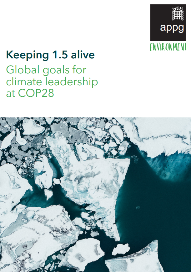 cop28 report