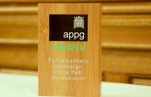 wooden award